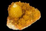 Sunshine Cactus Quartz Crystal Cluster - South Africa #132883-2